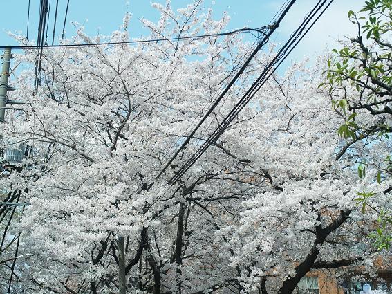 20110414 010 20110414 010