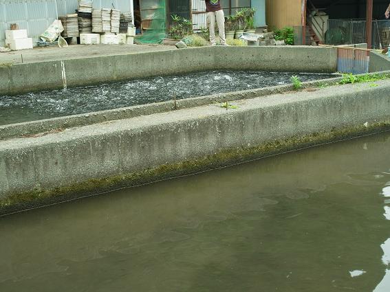 20110709 020 20110709 020