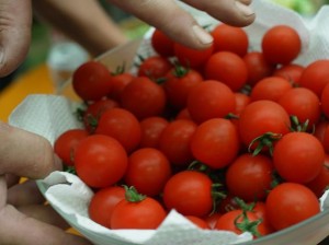 20110709 040-1 20110709 040-1