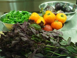 20110720 046-1 20110720 046-1