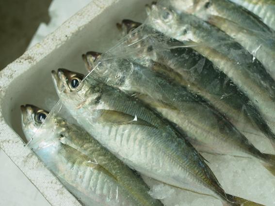 20110928 023 20110928 023