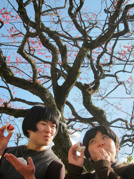 良い天気でよかったね。苺大福mgmg