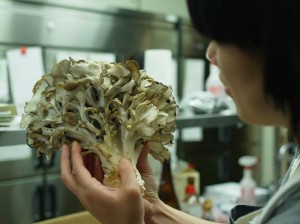 cti201010-14 cti201010-14